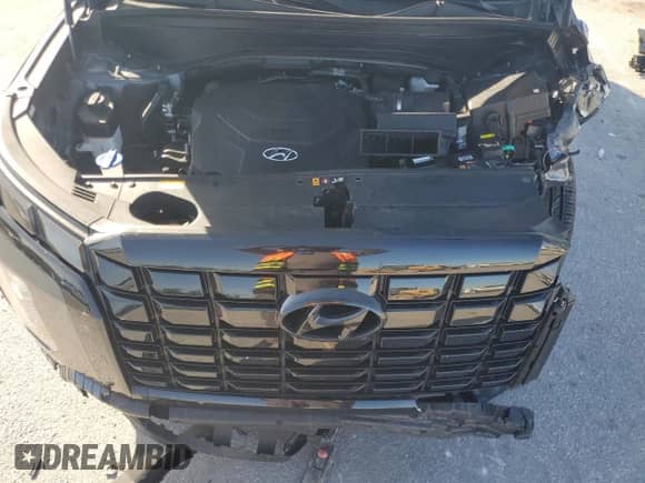 2025 Hyundai Palisade XRT с VIN KM8R34GEXSU839376, выставлен на аукционе Copart как лот 68912805 с пробегом 71 128 миль миль и На запчасти • Non repairable. История ставок и продаж доступна на DreamBid. Изображение 12.
