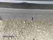 2019 Land Rover Range Rover Sport HSE Dynamic с VIN SALWV2SVXKA416580, выставлен на аукционе IAAI как лот 42491696 с пробегом 111 622 миль миль и . История ставок и продаж доступна на DreamBid. Изображение 6.