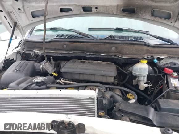 2002 Dodge RAM with VIN 3D3HA18N02G198817, listed as a IAAI auction lot 41554103 with 209,767 mi miles and . Bid and sale history available at DreamBid. Image 10.