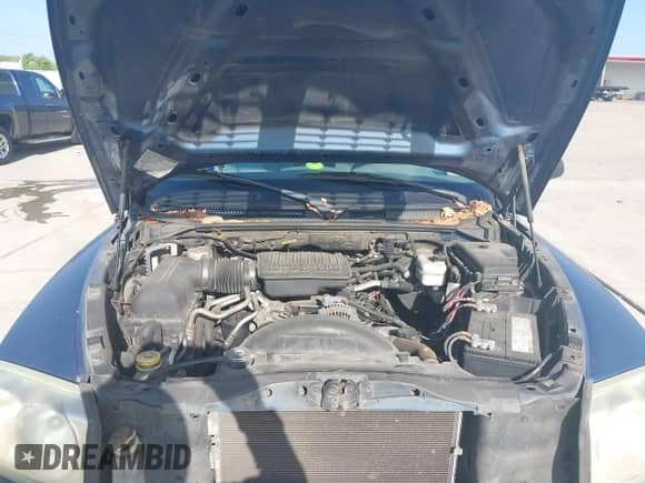 2005 Dodge Dakota SLT with VIN 1D7HE48N25S165061, listed as a IAAI auction lot 42854817 with 225,606 mi miles and . Bid and sale history available at DreamBid. Image 10.