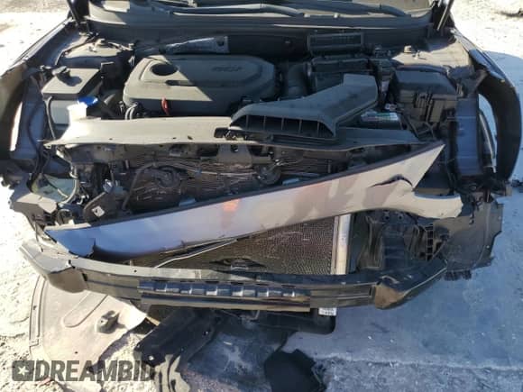 2018 Hyundai Sonata SE with VIN 5NPE24AF7JH702248, listed as a Copart auction lot 87008745 with 118,562 mi miles and Salvage title. Bid and sale history available at DreamBid. Image 11.