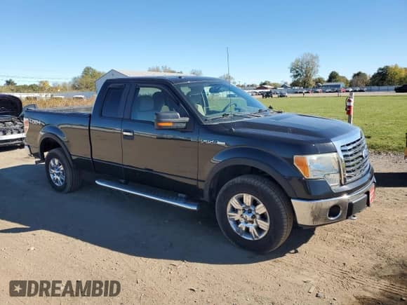 2010 Ford F-150 XL with VIN 1FTEX1E86AFC76610, listed as a Copart auction lot 86637975 with 161,843 mi miles and Salvage title. Bid and sale history available at DreamBid. Image 4.