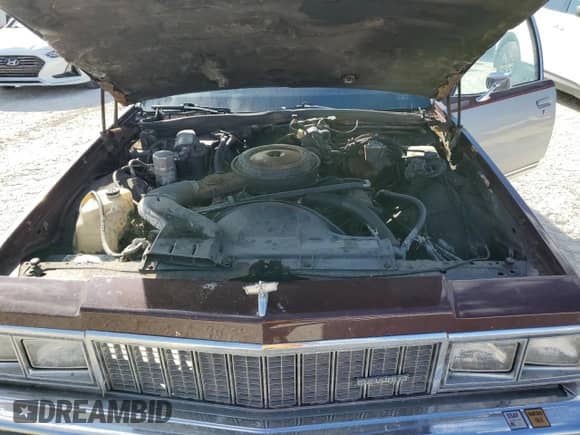 1979 Chevrolet Caprice с VIN 1N69L9J320518, выставлен на аукционе Copart как лот 78174914 с пробегом 49 981 миль миль и На запчасти • Non repairable. История ставок и продаж доступна на DreamBid. Изображение 11.