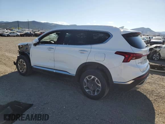 2023 Hyundai Santa Fe Blue с VIN 5NMS2DA10PH017540, выставлен на аукционе Copart как лот 55327605 с пробегом 26 048 миль миль и Списание • Salvage title. История ставок и продаж доступна на DreamBid. Изображение 2.