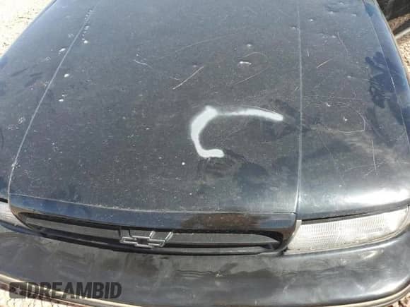 1996 Chevrolet Caprice 1SA Special Value с VIN 1G1BL52P2TR130975, выставлен на аукционе Copart как лот 62403325 с пробегом Не указан миль и Чистый • Clean title. История ставок и продаж доступна на DreamBid. Изображение 11.