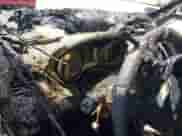 2018 Dodge Journey SE with VIN 3C4PDCAB5JT497376, listed as a IAAI auction lot 42998171 with Not provided miles and . Bid and sale history available at DreamBid. Image 7.