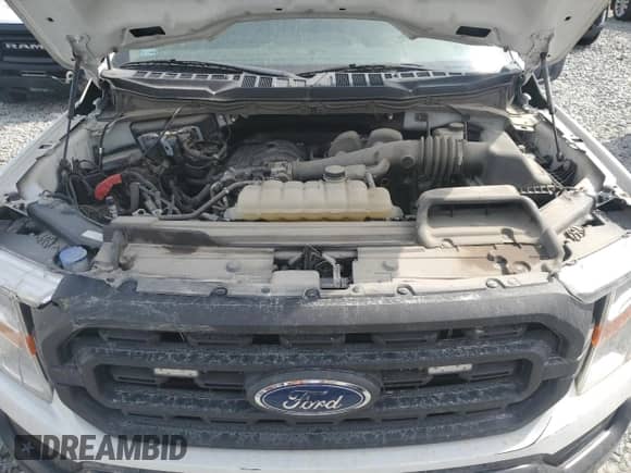 2021 Ford F-150 XL с VIN 1FTEW1CB8MKE68771, выставлен на аукционе Copart как лот 54613785 с пробегом 68 622 миль миль и Списание • Salvage title. История ставок и продаж доступна на DreamBid. Изображение 11.