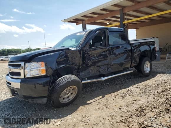 2009 Chevrolet Silverado 1500 LS with VIN 3GCEC13CX9G274856, listed as a Copart auction lot 61836345 with 170,965 mi miles and Salvage title. Bid and sale history available at DreamBid. Image 1.
