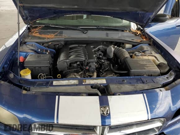 2009 Dodge Charger SXT с VIN 2B3KA33V79H514212, выставлен на аукционе Copart как лот 73103164 с пробегом 211 375 миль миль и Списание • Salvage title. История ставок и продаж доступна на DreamBid. Изображение 12.