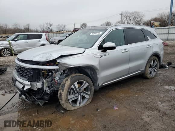 2022 Kia Sorento SX with VIN KNDRJDLH7N5118702, listed as a Copart auction lot 48208835 with 55,348 mi miles and Salvage title. Bid and sale history available at DreamBid. Image 1.