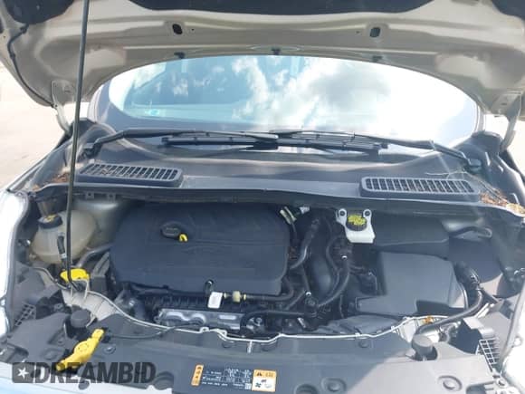 2018 Ford Escape SE с VIN 1FMCU9GD9JUA85683, выставлен на аукционе IAAI как лот 42973456 с пробегом 115 952 миль миль и . История ставок и продаж доступна на DreamBid. Изображение 10.