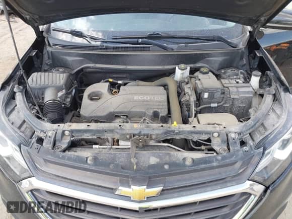 2019 Chevrolet Equinox LT with VIN 3GNAXJEV4KL339173, listed as a IAAI auction lot 43202290 with 86,724 mi miles and . Bid and sale history available at DreamBid. Image 10.