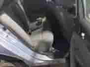 2013 Hyundai Sonata Limited z VIN KMHEC4A42DA087157, wystawiony jako IAAI lot #42725463 z przebiegiem 117 364 mil mil oraz . Historia ofert i sprzedaży dostępna na DreamBid. Obrazek 8.