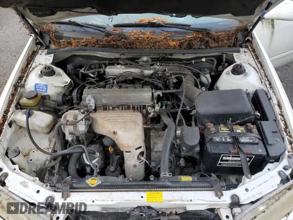 2000 Toyota Camry LE z VIN JT2BG22K4Y0432223, wystawiony jako Copart lot #89737405 z przebiegiem 230 409 mil mil oraz Czysty tytuł • Clean title. Historia ofert i sprzedaży dostępna na DreamBid. Obrazek 11.