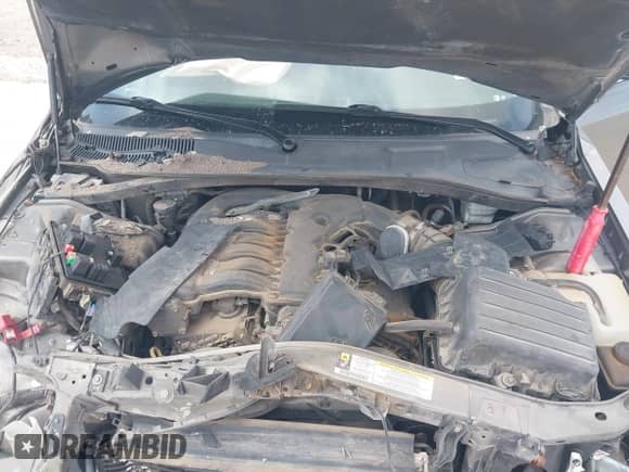 2008 Chrysler 300 Limited с VIN 2C3KA33G68H255957, выставлен на аукционе IAAI как лот 42736558 с пробегом Не указан миль и . История ставок и продаж доступна на DreamBid. Изображение 10.