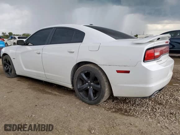 2014 Dodge Charger RT Max with VIN 2C3CDXCT9EH140524, listed as a Copart auction lot 81338765 with 192,623 mi miles and Salvage title. Bid and sale history available at DreamBid. Image 2.