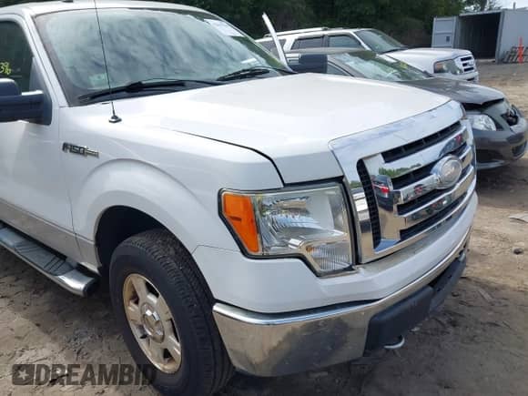 2009 Ford F-150 XL with VIN 1FTRW14839FA38442, listed as a IAAI auction lot 42615396 with 98,503 mi miles and . Bid and sale history available at DreamBid. Image 18.
