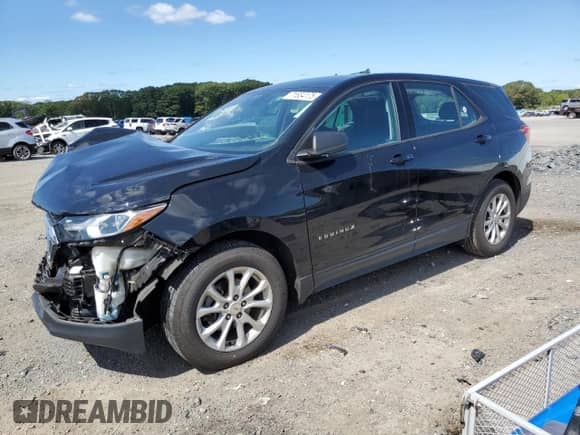 2019 Chevrolet Equinox LS z VIN 2GNAXSEV3K6231671, wystawiony jako Copart lot #71834175 z przebiegiem 133 301 mil mil oraz Szkoda całkowita • Salvage title. Historia ofert i sprzedaży dostępna na DreamBid. Obrazek 1.