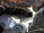 2005 Chevrolet Corvette with VIN 1G1YY24U555110145, listed as a Copart auction lot 64624974 with Not provided miles and Non repairable. Bid and sale history available at DreamBid. Image 9.