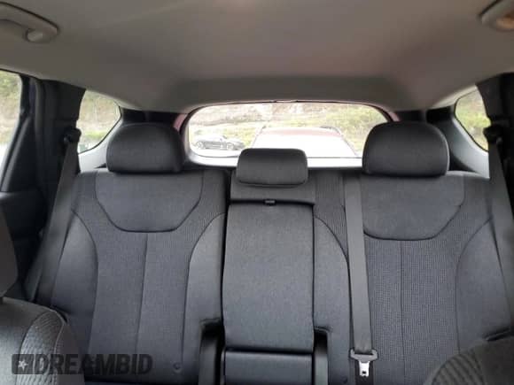 2021 Hyundai Santa Fe SE с VIN 5NMS1DAJ0MH344826, выставлен на аукционе Copart как лот 81576985 с пробегом 51 698 миль миль и Списание • Salvage title. История ставок и продаж доступна на DreamBid. Изображение 10.