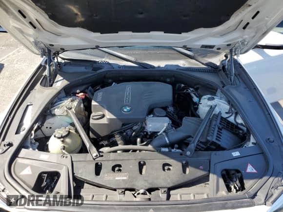 2015 BMW 5 Series 528i with VIN WBA5A5C53FD516858, listed as a Copart auction lot 64005625 with 130,283 mi miles and Salvage title. Bid and sale history available at DreamBid. Image 11.