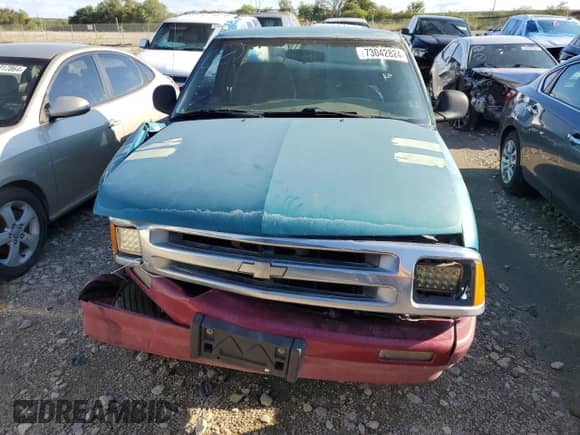 1995 Chevrolet S-10 LS with VIN 1GCCS1949S8191912, listed as a Copart auction lot 73042824 with 404,296 mi miles and Salvage title. Bid and sale history available at DreamBid. Image 5.