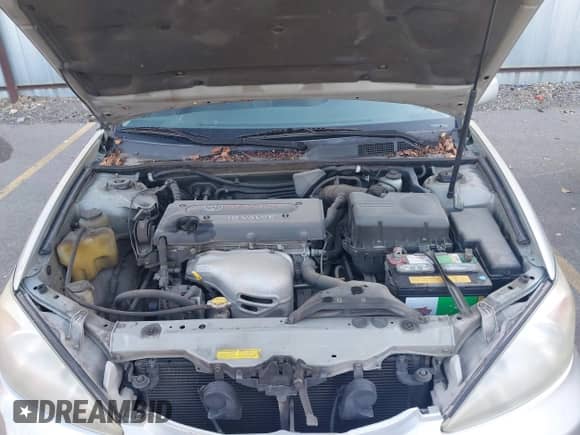 2003 Toyota Camry LE with VIN JTDBE32K130187036, listed as a IAAI auction lot 43504391 with 205,170 mi miles and . Bid and sale history available at DreamBid. Image 10.