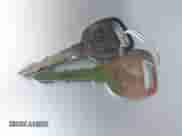 2000 Chevrolet Silverado 2500 LS с VIN 1GCGK29UXYE142512, выставлен на аукционе IAAI как лот 42679849 с пробегом 73 394 миль миль и . История ставок и продаж доступна на DreamBid. Изображение 11.