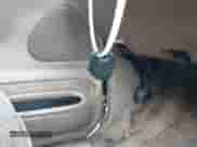 1998 Ford Explorer Sport z VIN 1FMYU22X6WUD29716, wystawiony jako IAAI lot #42211199 z przebiegiem 252 253 mil mil oraz . Historia ofert i sprzedaży dostępna na DreamBid. Obrazek 11.