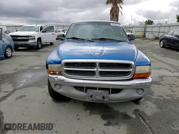 1999 Dodge Dakota SLT with VIN 1B7GL22X4XS108843, listed as a Copart auction lot 82464205 with 224,498 mi miles and Salvage title. Bid and sale history available at DreamBid. Image 13.