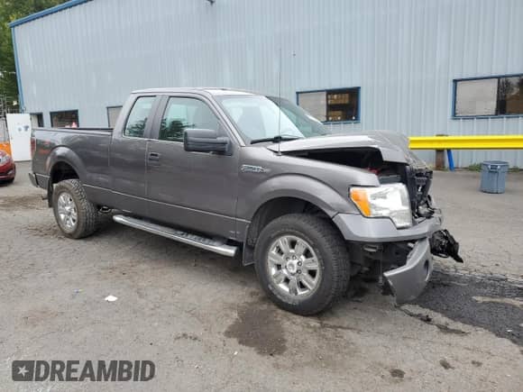 2014 Ford F-150 XL с VIN 1FTEX1EM6EFB77191, выставлен на аукционе Copart как лот 80015425 с пробегом 99 968 миль миль и Списание • Salvage title. История ставок и продаж доступна на DreamBid. Изображение 4.