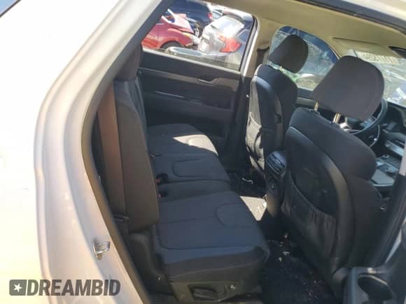 2020 Hyundai Palisade SE с VIN KM8R14HE1LU052385, выставлен на аукционе Copart как лот 71773294 с пробегом 55 794 миль миль и Списание • Salvage title. История ставок и продаж доступна на DreamBid. Изображение 11.