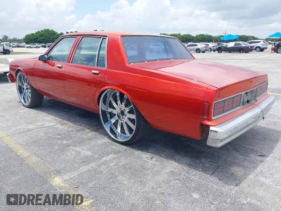 1988 Chevrolet Caprice с VIN 1G1BL51H9JR120497, выставлен на аукционе IAAI как лот 42918701 с пробегом 33 199 миль миль и . История ставок и продаж доступна на DreamBid. Изображение 3.
