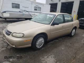 2002 Chevrolet Malibu с VIN 1G1ND52J42M695245, выставлен на аукционе Copart как лот 59803245 с пробегом 84 222 миль миль и Списание • Salvage title. История ставок и продаж доступна на DreamBid. Изображение 1.