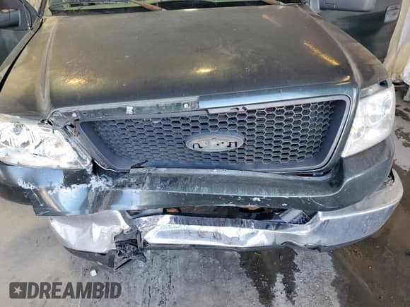 2005 Ford F-150 XLT with VIN 1FTPX12555NA84898, listed as a Copart auction lot 84749625 with 200,695 mi miles and Salvage title. Bid and sale history available at DreamBid. Image 11.