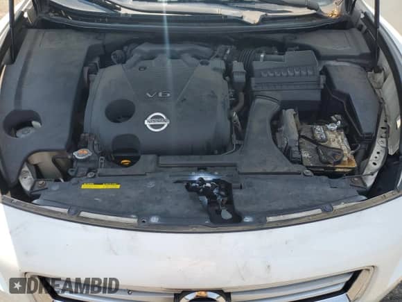 2013 Nissan Maxima S with VIN 1N4AA5AP5DC806646, listed as a Copart auction lot 60169535 with 209,342 mi miles and Clean title. Bid and sale history available at DreamBid. Image 11.