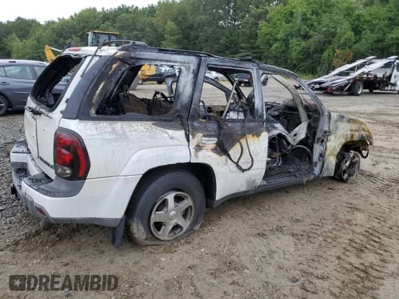 2004 Chevrolet TrailBlazer LT with VIN 1GNDT13S742196726, listed as a Copart auction lot 69765045 with Not provided miles and Clean title. Bid and sale history available at DreamBid. Image 3.