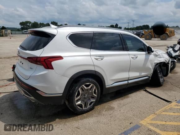 2021 Hyundai Santa Fe Limited with VIN 5NMS44AL3MH318813, listed as a Copart auction lot 67644385 with 38,696 mi miles and Salvage title. Bid and sale history available at DreamBid. Image 3.