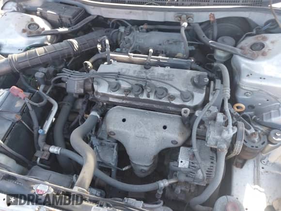 2002 Honda Accord VP with VIN 1HGCF86642A096722, listed as a IAAI auction lot 41647884 with Not provided miles and . Bid and sale history available at DreamBid. Image 10.