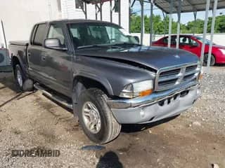 2003 Dodge Dakota SLT with VIN 1D7HG48N43S314433, listed as a IAAI auction lot 42295334 with 308,745 mi miles and . Bid and sale history available at DreamBid. Image 1.