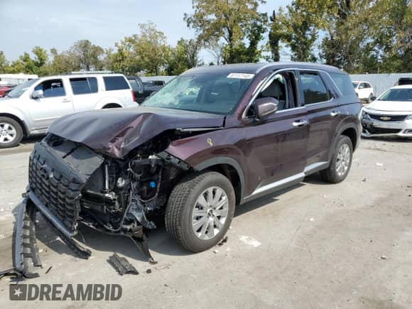 2024 Hyundai Palisade SEL с VIN KM8R2DGE2RU741374, выставлен на аукционе Copart как лот 81117145 с пробегом 10 166 миль миль и Списание • Salvage title. История ставок и продаж доступна на DreamBid. Изображение 1.