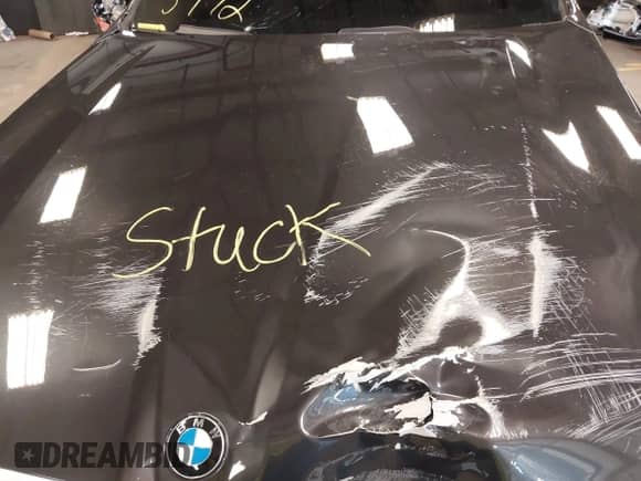 2024 BMW 5 Series 530i xDrive с VIN WBA53FJ05RCS68856, выставлен на аукционе IAAI как лот 42065772 с пробегом 4 944 миль миль и . История ставок и продаж доступна на DreamBid. Изображение 10.