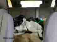 2009 Chevrolet Equinox 1LT z VIN 2CNDL43F596222565, wystawiony jako Copart lot #63926765 z przebiegiem Nie podano mil oraz Czysty tytuł • Clean title. Historia ofert i sprzedaży dostępna na DreamBid. Obrazek 10.