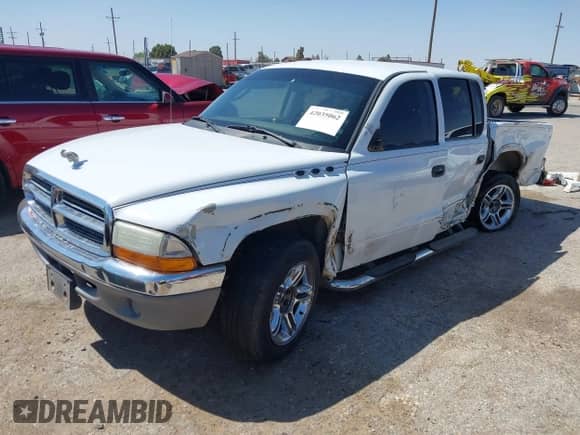 2004 Dodge Dakota SLT with VIN 1D7HL48K34S758499, listed as a IAAI auction lot 42035062 with 145,305 mi miles and . Bid and sale history available at DreamBid. Image 18.