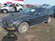 2008 Ford Mustang Deluxe with VIN 1ZVHT80N485201156, listed as a IAAI auction lot 43082202 with 194,598 mi miles and . Bid and sale history available at DreamBid. Image 17.