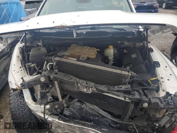 2016 Ram 1500 Big Horn z VIN 1C6RR7LM3GS303929, wystawiony jako Copart lot #66028295 z przebiegiem 283 271 mil mil oraz Szkoda całkowita • Salvage title. Historia ofert i sprzedaży dostępna na DreamBid. Obrazek 11.