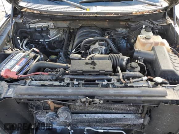 2010 Ford F-150 XL with VIN 1FTEX1E81AKA19491, listed as a Copart auction lot 82548185 with 165,402 mi miles and Clean title. Bid and sale history available at DreamBid. Image 11.