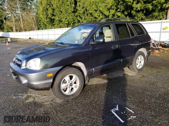 2006 Hyundai Santa Fe GLS with VIN KM8SC13DX6U112533, listed as a Copart auction lot 87078764 with Not provided miles and Salvage title. Bid and sale history available at DreamBid. Image 1.