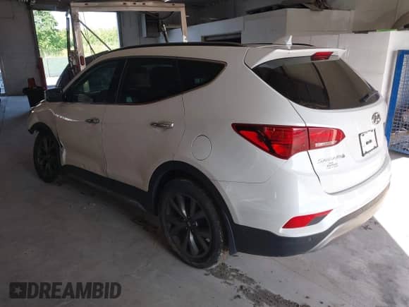2017 Hyundai Santa Fe Ultimate с VIN 5XYZWDLA2HG491338, выставлен на аукционе IAAI как лот 42590671 с пробегом 114 521 миль миль и . История ставок и продаж доступна на DreamBid. Изображение 3.