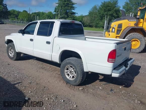 2004 Dodge Dakota Sport with VIN 1D7HL38KX4S721444, listed as a IAAI auction lot 42248222 with 248,582 mi miles and . Bid and sale history available at DreamBid. Image 3.